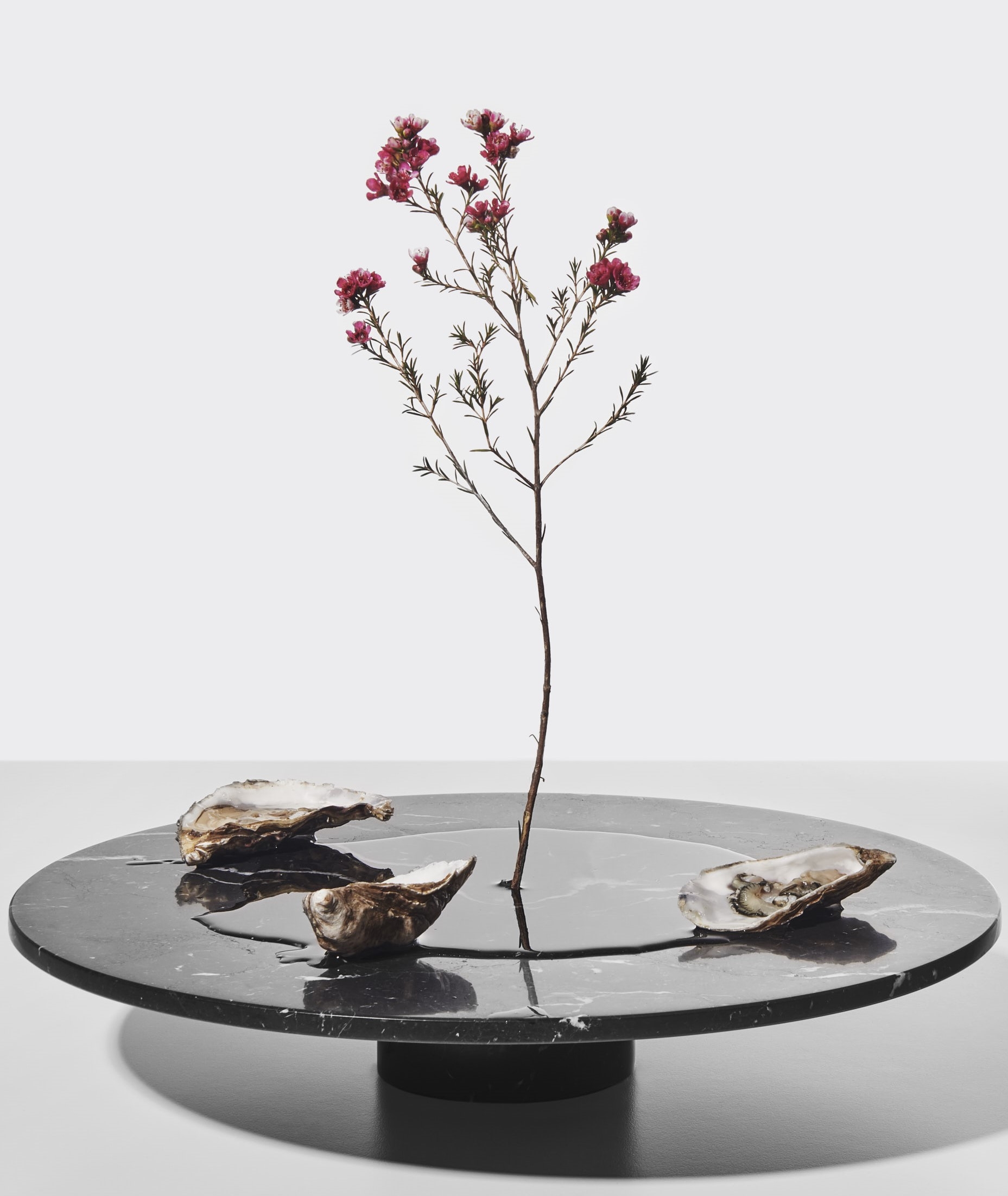 MARSOTTO LAB-ECAL